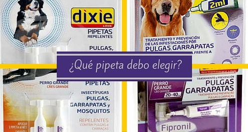 Pipetas para perros: