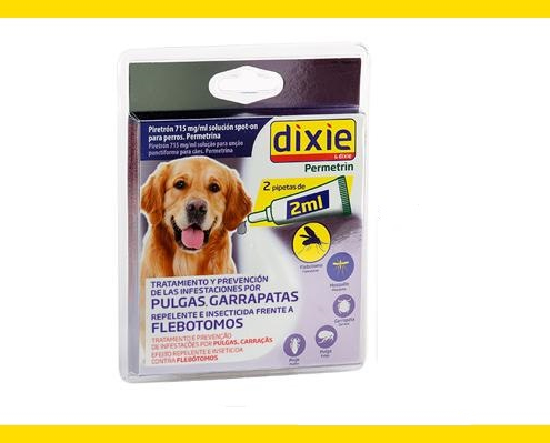 la leishmaniosis y cómo afecta a mi perro