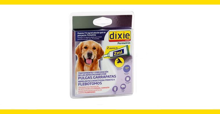 la leishmaniosis y cómo afecta a mi perro