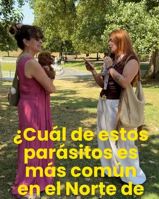¿Cuál de estos parásitos es más común en el norte de España? (reel de Instagram del 11 sep 2026)