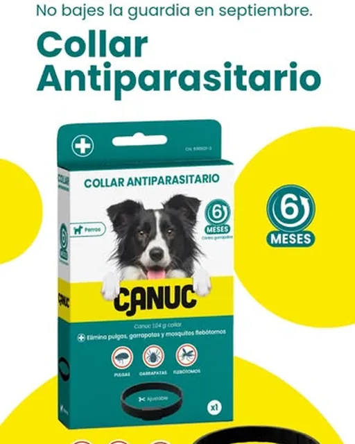 Collar antiparasitario CANUC: no bajes la guardia en septiembre (reel de Instagram del 6 sep 2026)