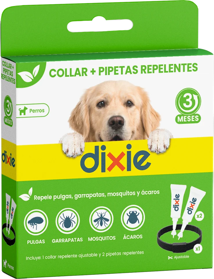 Combi Dixie: collar y 2 pipetas repelentes para perro